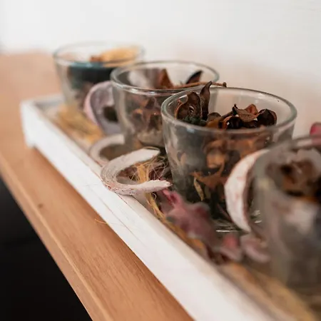 بيت للعطل Purgar *